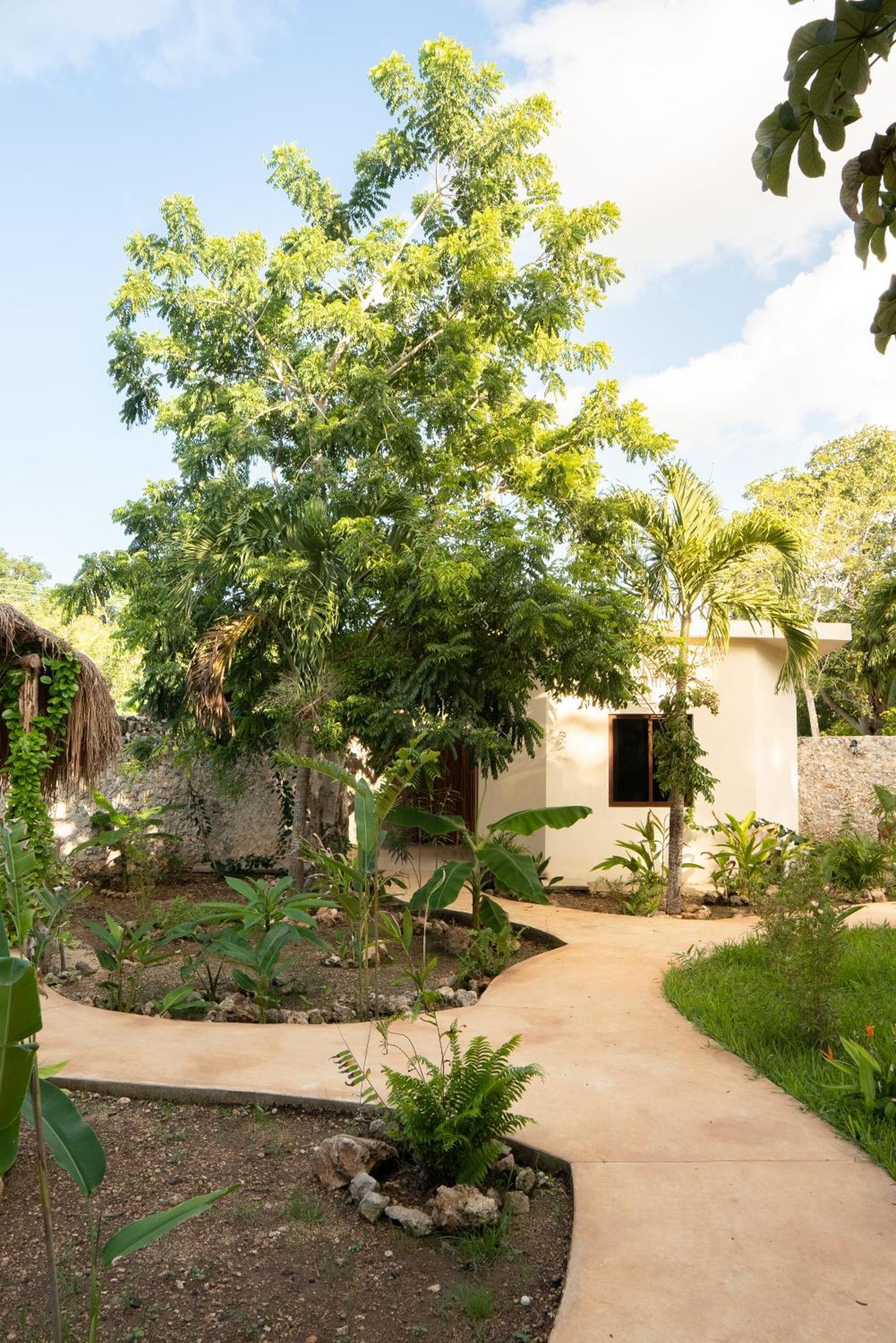 Casa Cactus Buenavista Villa Бакалар Екстериор снимка