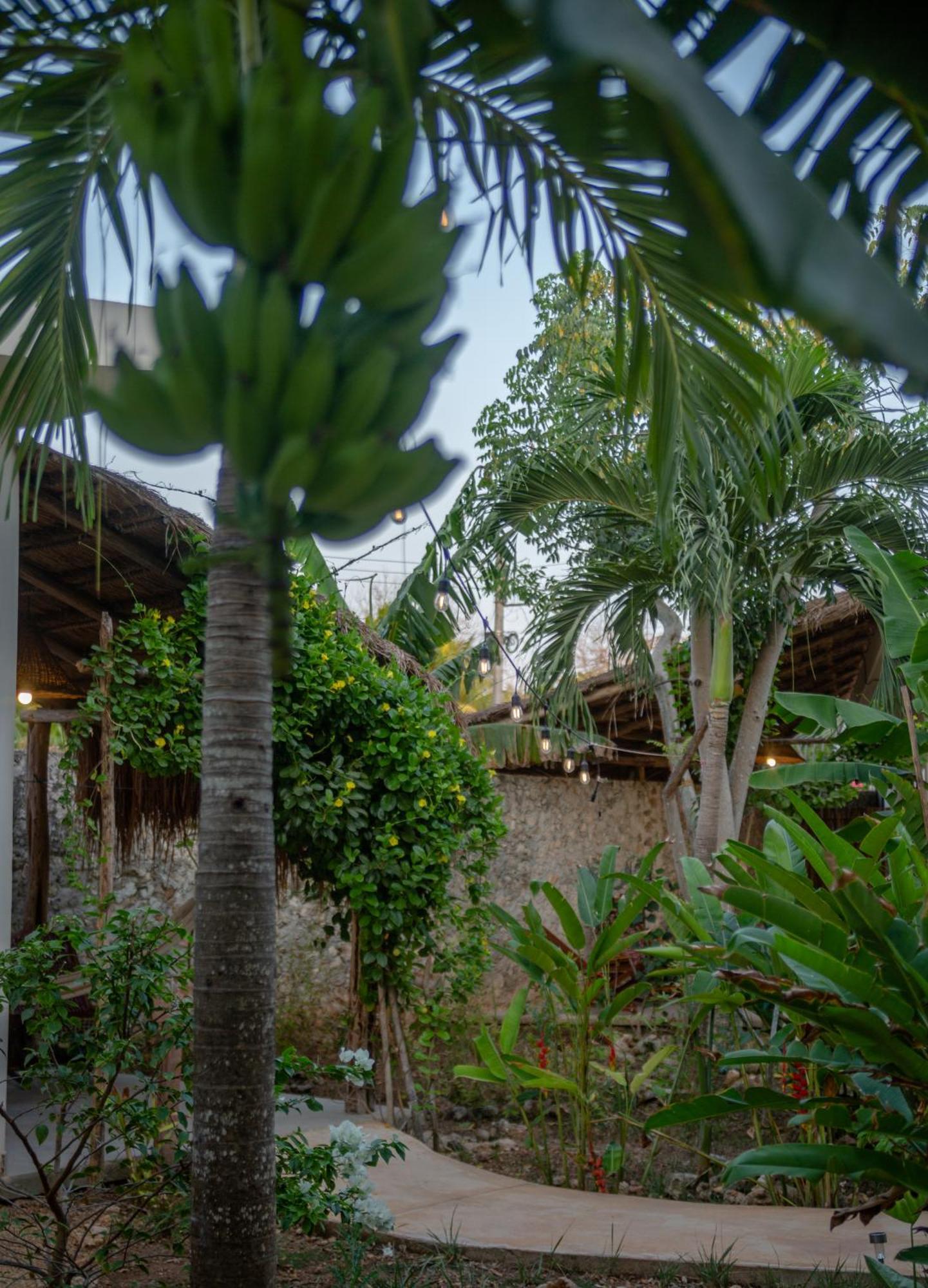 Casa Cactus Buenavista Villa Бакалар Екстериор снимка